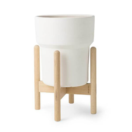 Sed aliquam, nisi quis porttitor congue